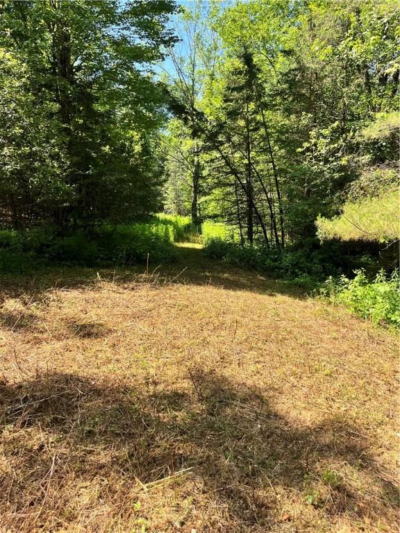 2865 Steam Mill Rd, Masonville, NY 13804 - photo 27