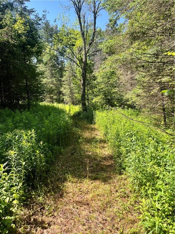 2865 Steam Mill Rd, Masonville, NY 13804 - photo 23