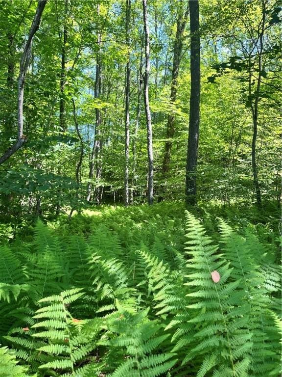 2865 Steam Mill Rd, Masonville, NY 13804 - photo 28