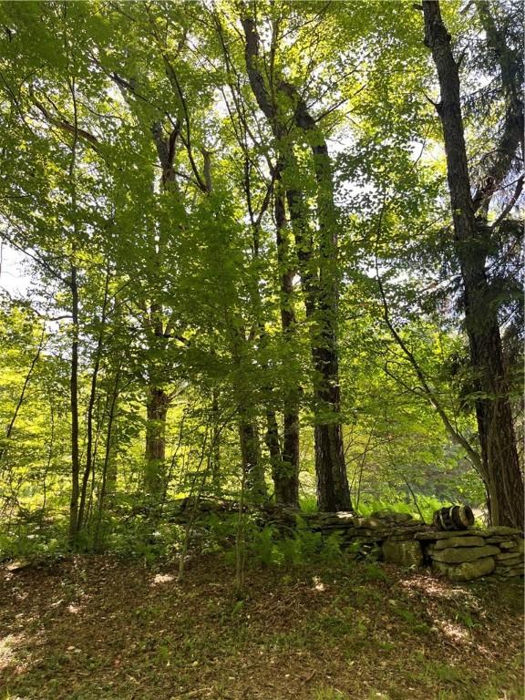 2865 Steam Mill Rd, Masonville, NY 13804 - photo 6