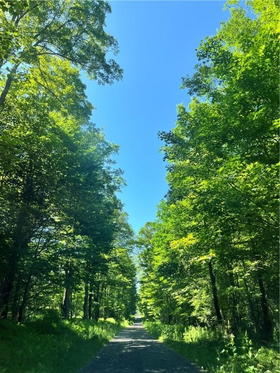 2865 Steam Mill Rd, Masonville, NY 13804 - photo 25