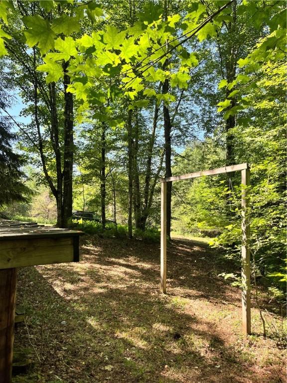 2865 Steam Mill Rd, Masonville, NY 13804 - photo 4