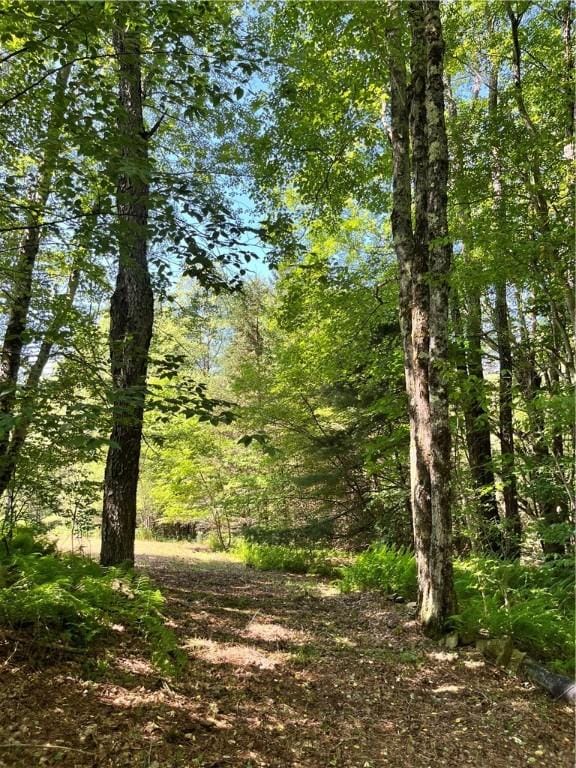 2865 Steam Mill Rd, Masonville, NY 13804 - photo 5