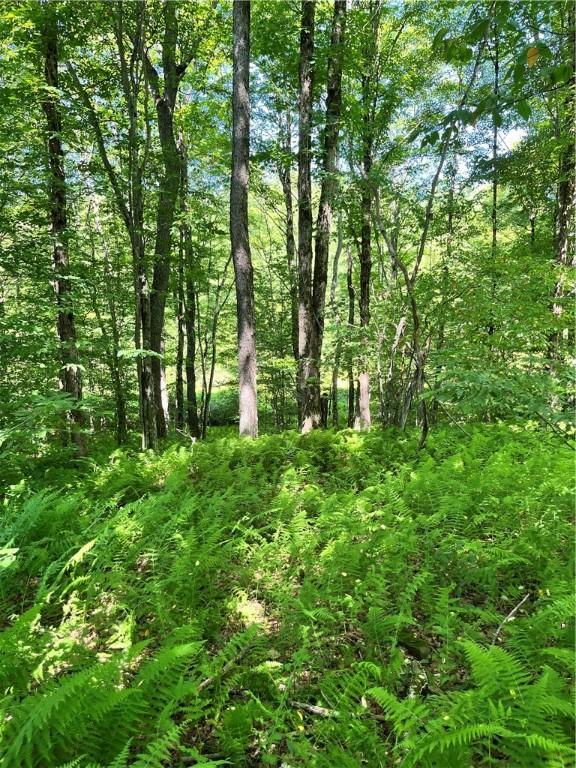 2865 Steam Mill Rd, Masonville, NY 13804 - photo 17