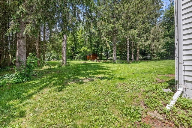 2129 Berry Rd, Lafayette, NY 13084 - view of green lawn