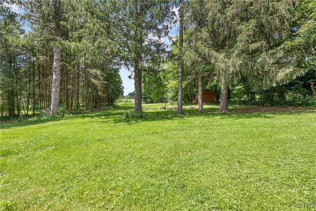 2129 Berry Rd, Lafayette, NY 13084 - view of grassy yard