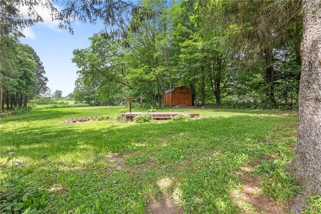 2129 Berry Rd, Lafayette, NY 13084 - view of green lawn with a shed