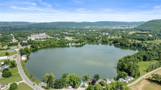 6991 E William Ext, Bath, NY 14810 - photo 2