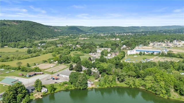 6991 E William Ext, Bath, NY 14810 - photo 5