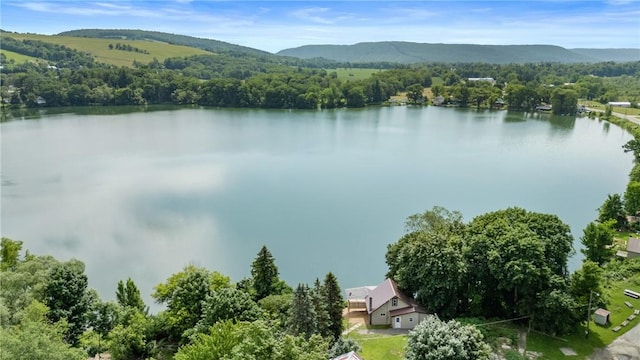 6991 E William Ext, Bath, NY 14810 - photo 6