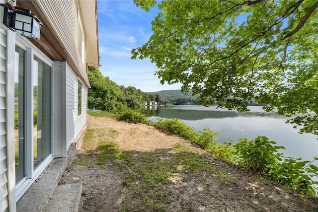 6991 E William Ext, Bath, NY 14810 - photo 11