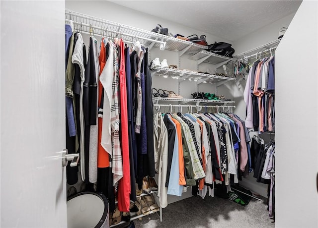 42 Wood Creek Dr, Pittsford, NY 14534 - spacious closet with carpet flooring