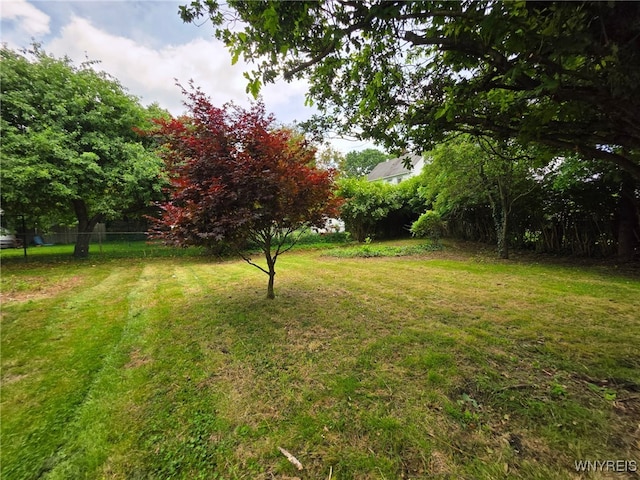 942 N 4th St, Olean, NY 14760 - view of yard