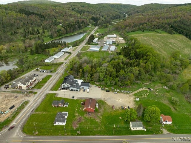 6296 Rte 242 E, Ellicottville, NY 14731 - photo 3