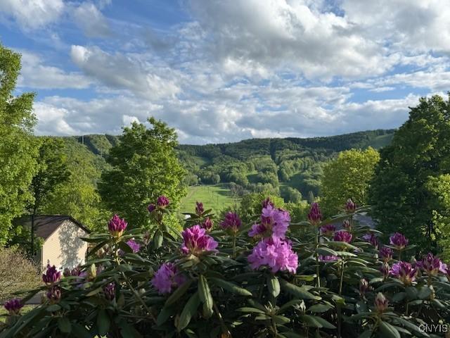 2033 Artemis Dr, Virgil, NY 13045 - view of mountain background with a forest