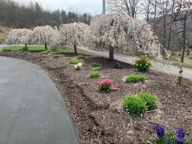 2033 Artemis Dr, Virgil, NY 13045 - view of community