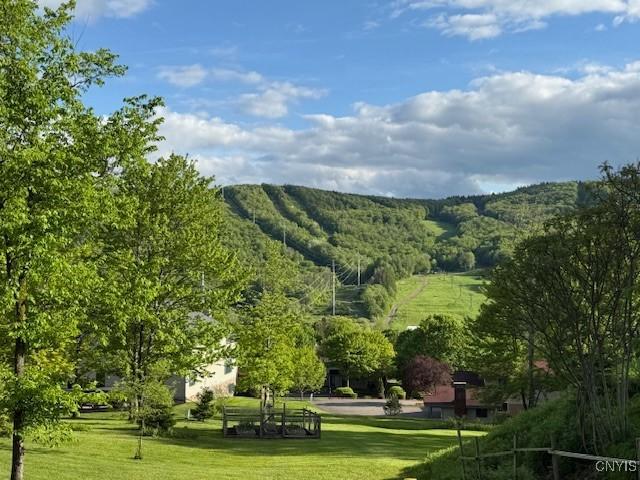 2033 Artemis Dr, Virgil, NY 13045 - view of property's community with a yard
