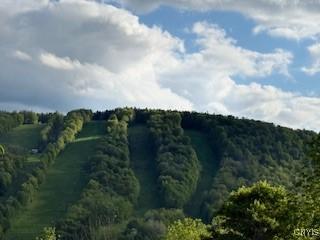 2033 Artemis Dr, Virgil, NY 13045 - view of mountain background with a forest