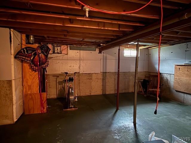 2033 Artemis Dr, Virgil, NY 13045 - view of below grade area