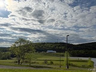 2033 Artemis Dr, Virgil, NY 13045 - view of home's community featuring a yard