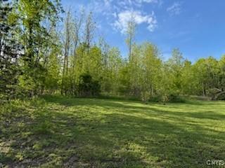 2033 Artemis Dr, Virgil, NY 13045 - view of grassy yard