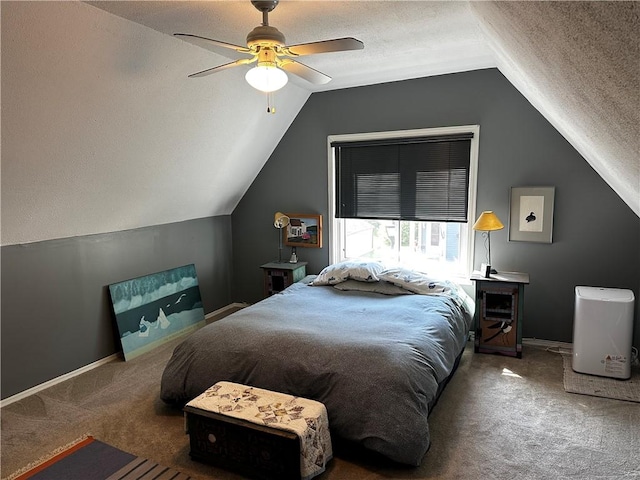 18 Weider St, Rochester, NY 14620 - bedroom featuring carpet, vaulted ceiling, a textured ceiling, and a ceiling fan
