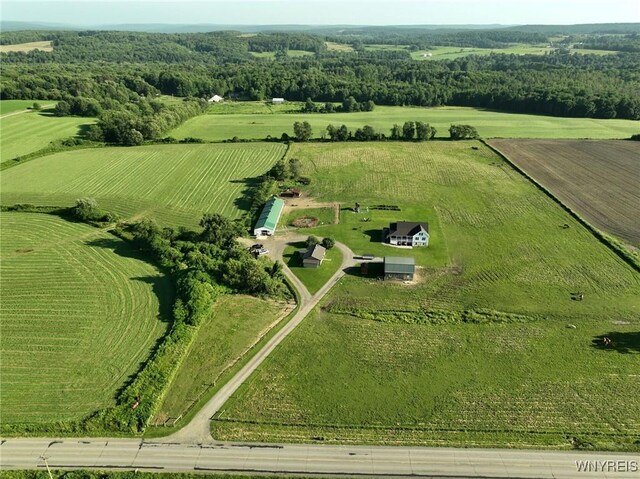8079 County Road 3, Centerville, NY 14065 - photo 36