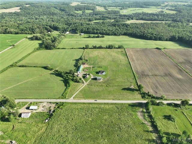 8079 County Road 3, Centerville, NY 14065 - photo 40