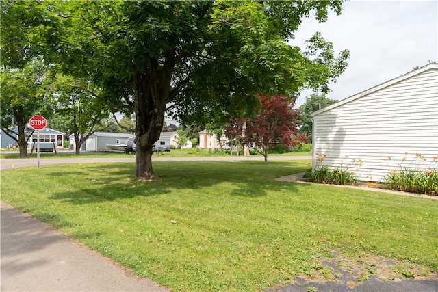 21 Twin Dr, North Dansville, NY 14437 - view of green lawn