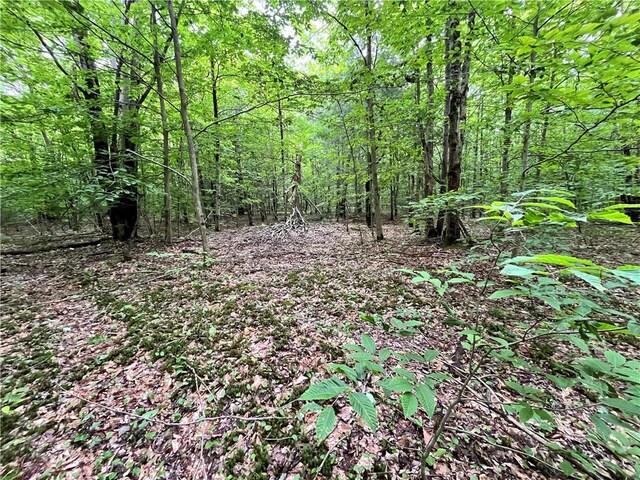 117 Albion Cross Rd, Albion, NY 13131