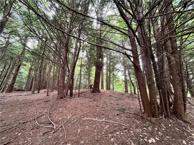 117 Albion Cross Rd, Albion, NY 13131