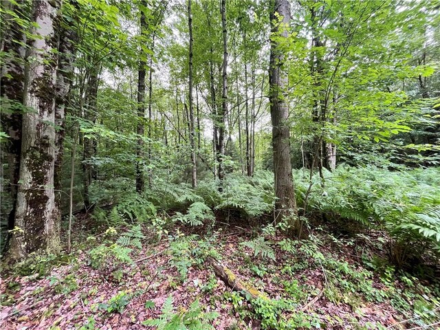 117 Albion Cross Rd, Albion, NY 13131