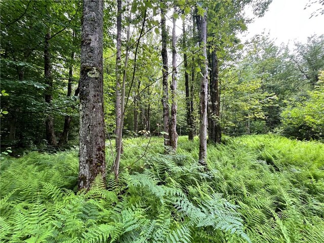117 Albion Cross Rd, Albion, NY 13131