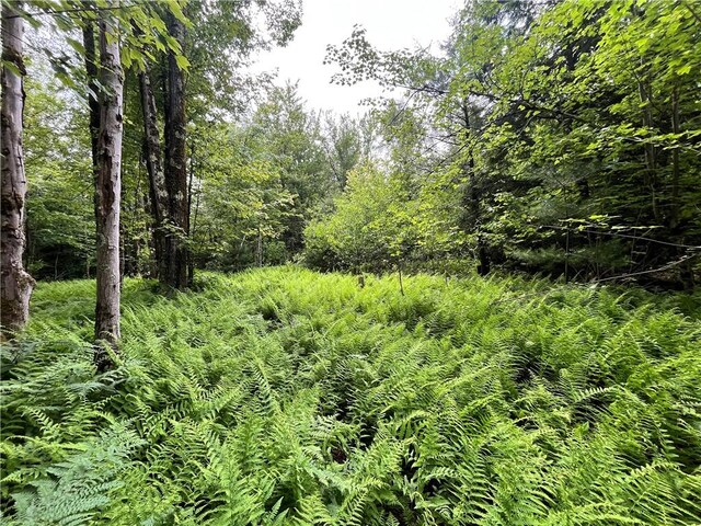 117 Albion Cross Rd, Albion, NY 13131