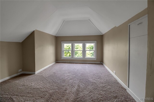 164 Montrose Ave, Buffalo, NY 14214 - photo 41