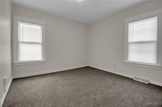 164 Montrose Ave, Buffalo, NY 14214 - photo 34