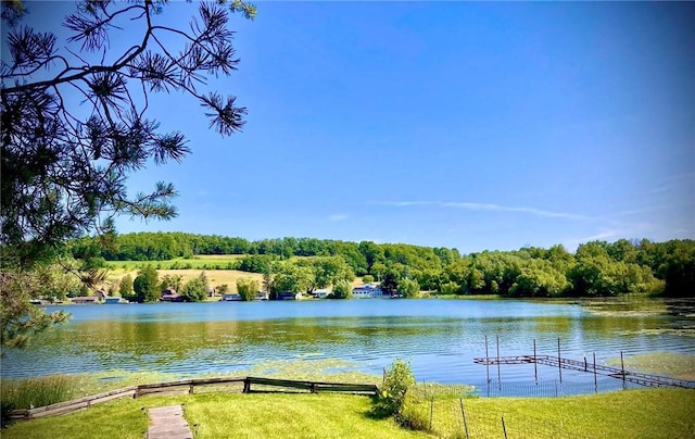 4289 Lake Rd, Howard, NY 14809 - photo 24