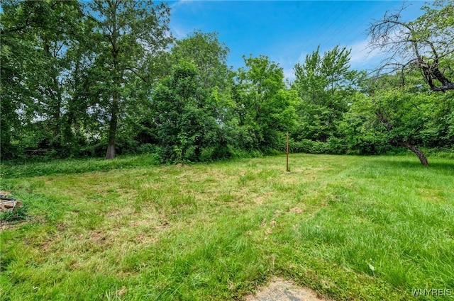 1326 Lovejoy St, Cheektowaga, NY 14212 - photo 45