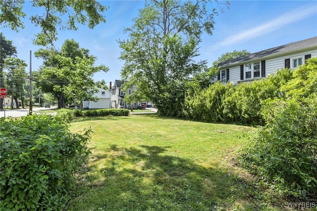 349 Willow St, Lockport City, NY 14094 - view of green lawn