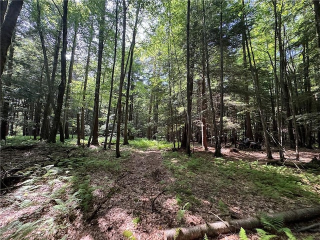 5757 State Highway 7, Oneonta, NY 13820