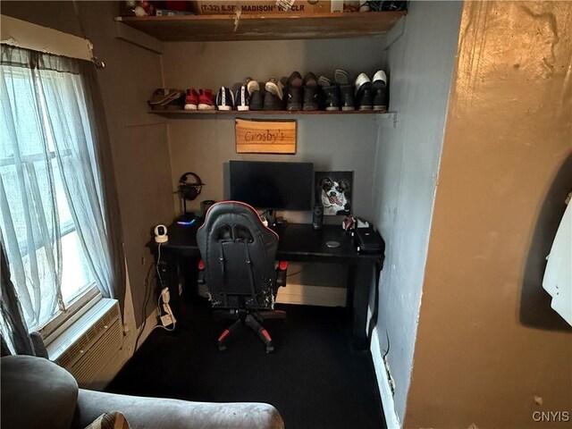 41 Owego St, Cortland, NY 13045 - view of home office