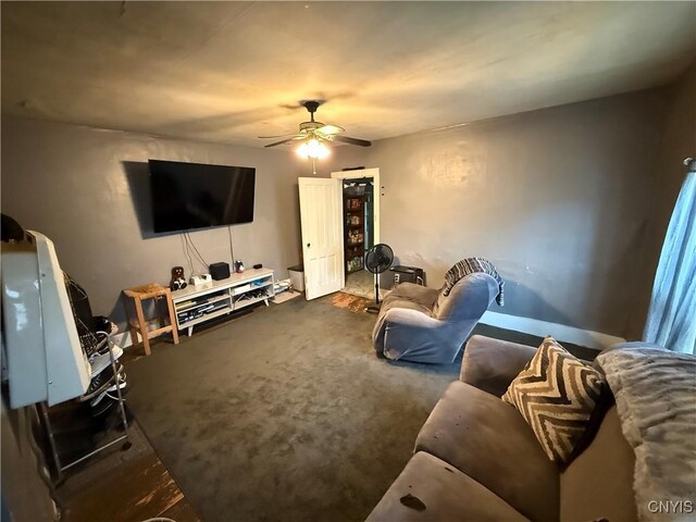 41 Owego St, Cortland, NY 13045 - living area featuring ceiling fan and carpet floors
