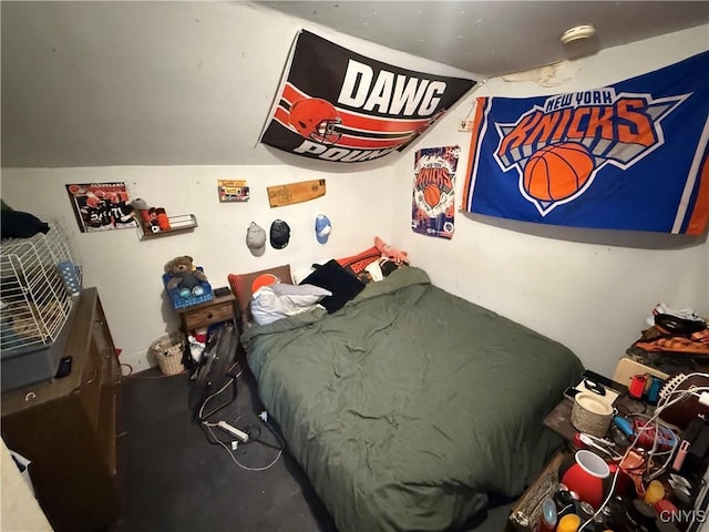 41 Owego St, Cortland, NY 13045 - view of bedroom