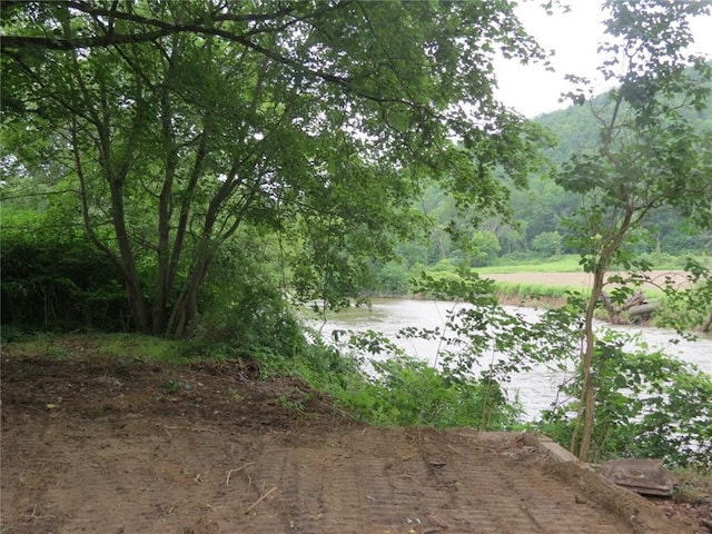 115 State Highway 51, Guilford, NY 13809 - photo 46