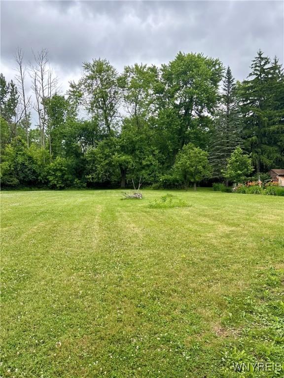 575 Willow Ave, North Tonawanda, NY 14120 - view of green lawn