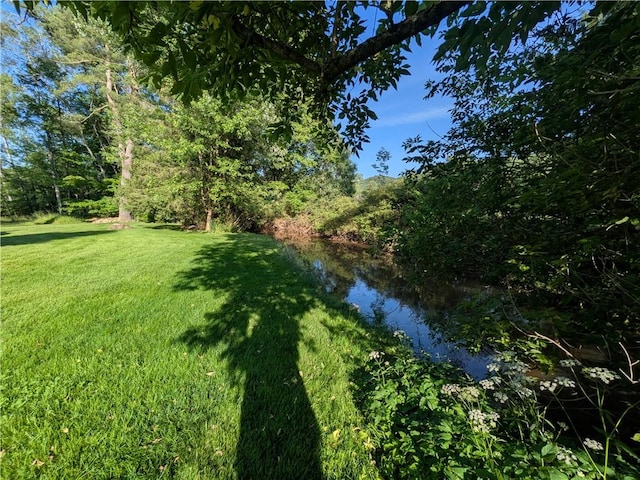 15 Clark Dr, Otto Twp, PA 16745 - view of grassy yard