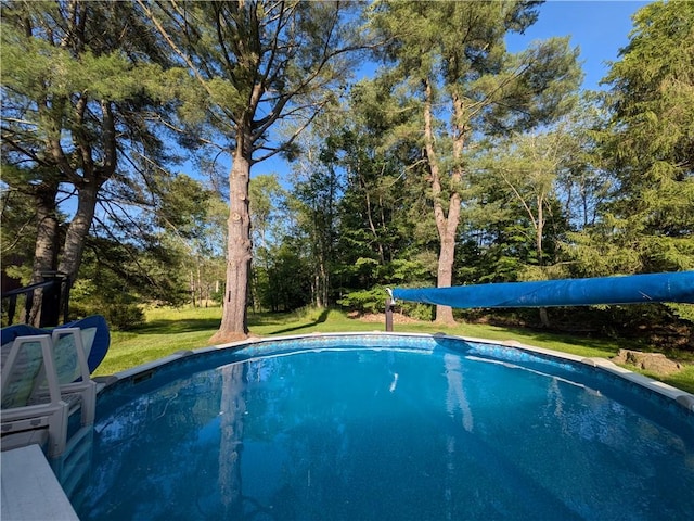 15 Clark Dr, Otto Twp, PA 16745 - swimming pool with a lawn