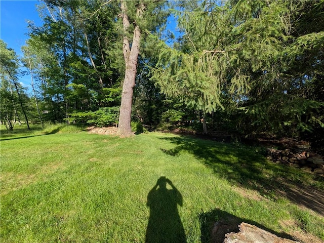 15 Clark Dr, Otto Twp, PA 16745 - view of green lawn