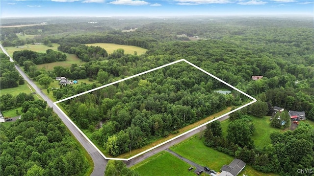 123 Town Line Rd, Volney, NY 13069 - aerial view of property and surrounding area with property boundaries highlighted and a heavily wooded area