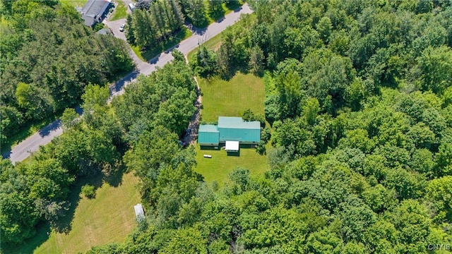 123 Town Line Rd, Volney, NY 13069 - aerial view of property's location